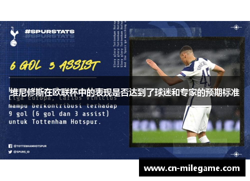 维尼修斯在欧联杯中的表现是否达到了球迷和专家的预期标准 维尼修斯在欧联杯中的表现是否达到了球迷和专家的预期标准